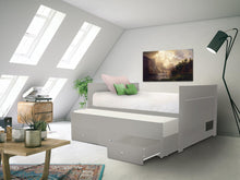 Load image into Gallery viewer, All in One Twin Bed with Trundle and 3 Drawers in Gray