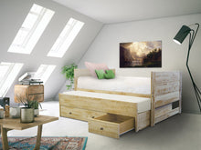 Load image into Gallery viewer, All in One Twin Bed with Trundle and 3 Drawers in Weathered Honey
